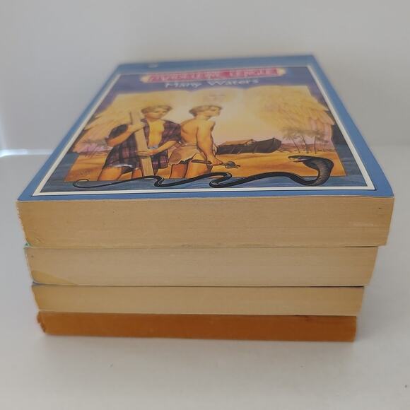 Madeleine L'engle's A Master of Fantasy Four Novels Book Set Suspense Mystery - Picture 3 of 16